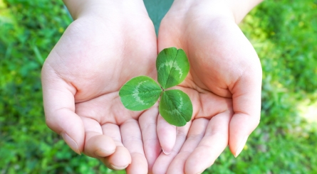 衛生管理機器の商品画像